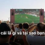 Kèo nhà cái, hay còn gọi là tỷ lệ cược, chính là con số mà các nhà cái đưa ra để thể hiện khả năng xảy ra của một kết quả