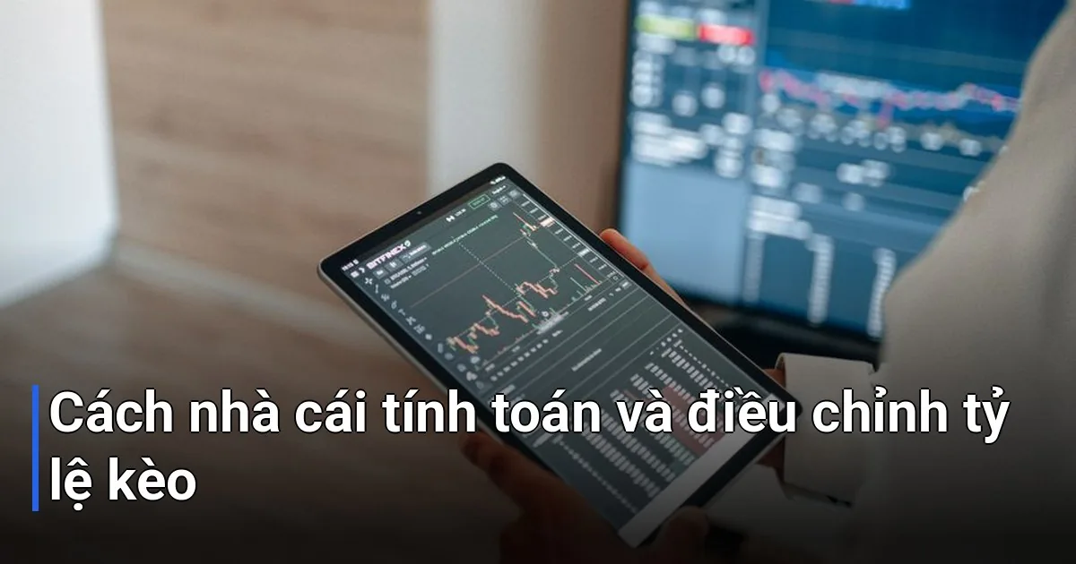Nhiều người chơi thắc mắc rằng nhà cái dựa vào đâu để đưa ra những con số tỷ lệ kèo cụ thể - Kèo Nhà Cái Là Gì?